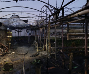 Pożar w zakładzie ogrodniczym w Lesznie. Jedna osoba została poszkodowana