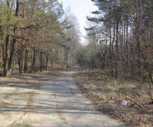 Puszcza Kampinoska