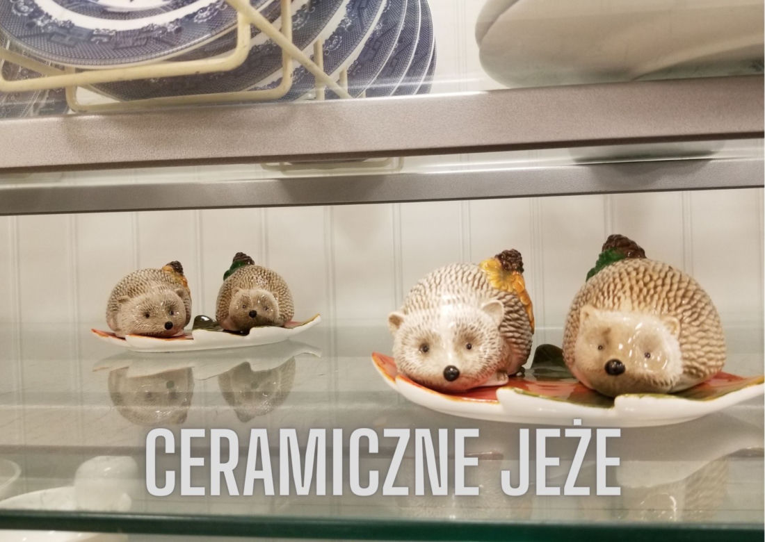 Dekoracje na jesień w niskiej cenie. Jak efektownie ozdobić dom? [GALERIA]