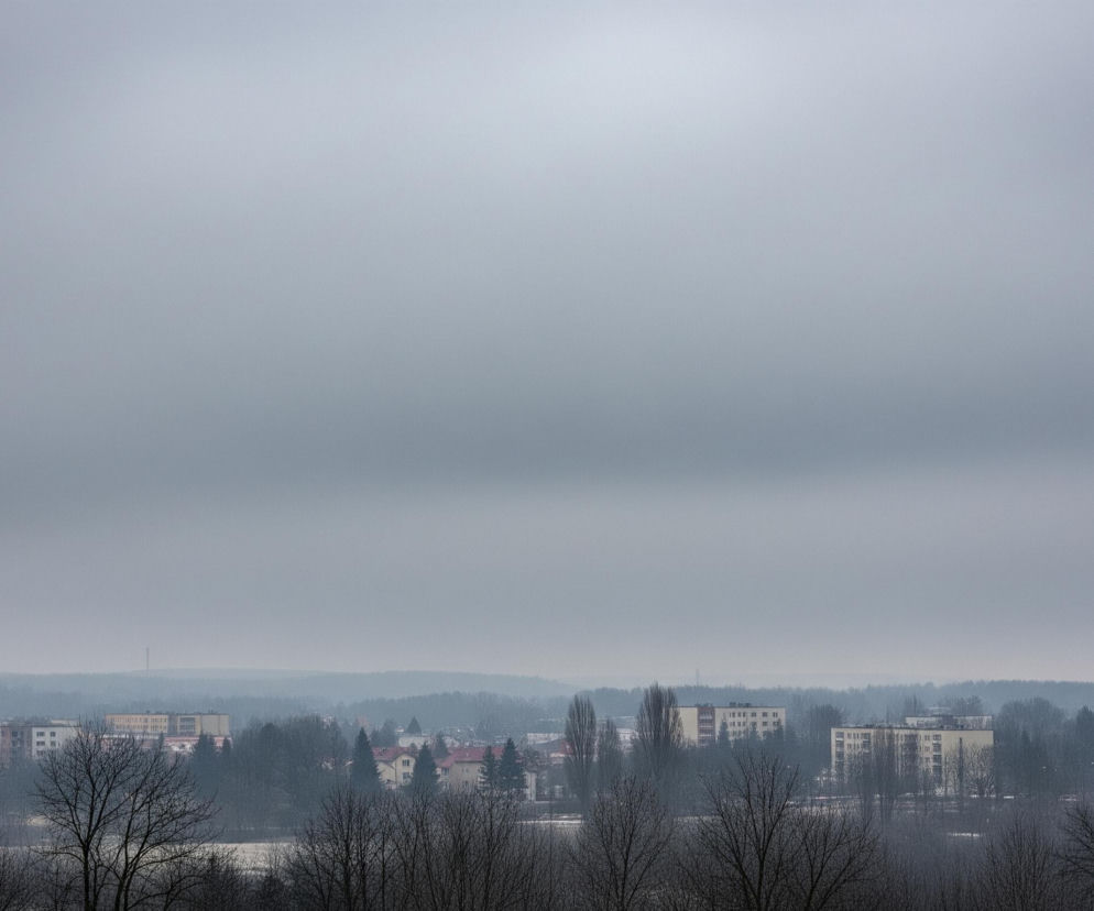 Ponad dwiema trzecimi kadru dominuje szare, jednolite niebo, lekko rozjaśniające się ku górze. Na horyzoncie rozciąga się miejski krajobraz z licznymi budynkami mieszkalnymi o różnych kształtach i rozmiarach, otoczonymi nagimi drzewami bez liści. Cała scena jest zdominowana przez mgliste, monochromatyczne odcienie szarości i błękitu, co nadaje jej ponury, zimowy charakter.