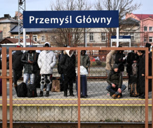 Przemyśl: Cudzoziemiec odgryzł palec ratownikowi w karetce. Mieszkańcy Przemyśla coraz bardziej zaniepokojeni
