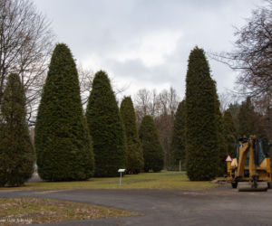 Park Planty w Białymstoku zyskuje nowe nawierzchnie