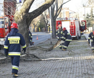 wichury, wiatr, połamane drzewa, straż pożarna