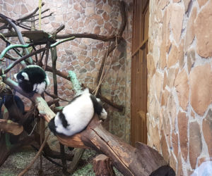 ZOO Toruń zaprasza!