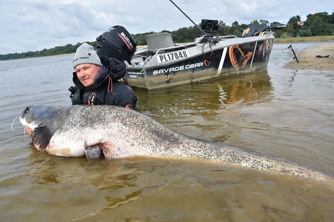 Sum-gigant złowiony pod Warszawą