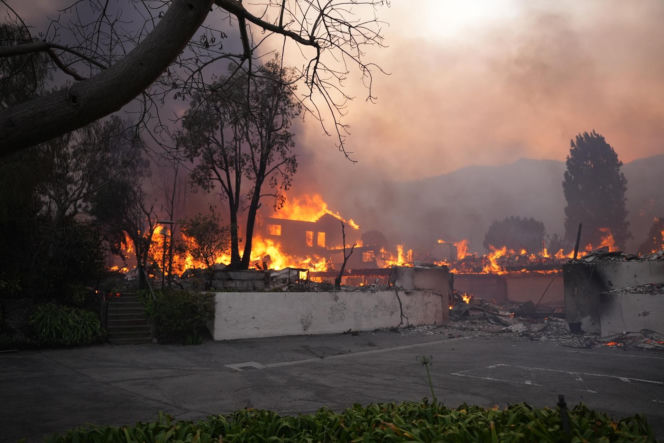 Nagrał tajemnicze słowa pani burmistrz, chodzi o pożary. "Czytaj między wierszami"