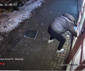 Roztrzaskał kwiatomat i uciekł z bukietem! „To boli bardziej niż strata pieniędzy”