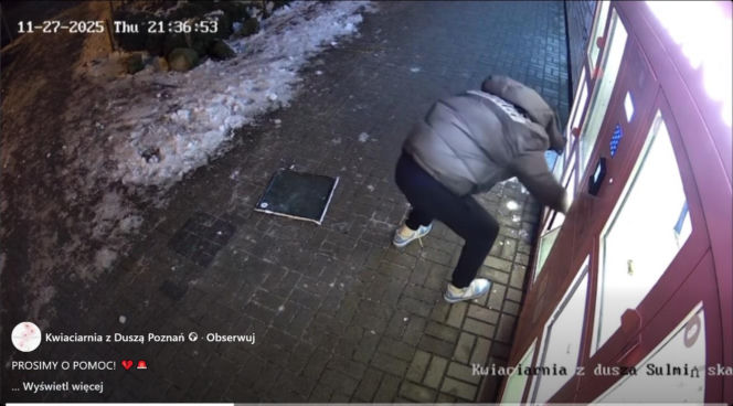 Roztrzaskał kwiatomat i uciekł z bukietem! Właściciele pokazują nagranie. „Widok, który łamie serce”