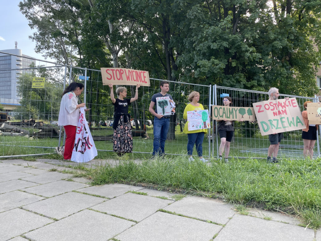 Linia tramwajowa do Mistrzejowic. Protest ws. wycinki drzew w Krakowie