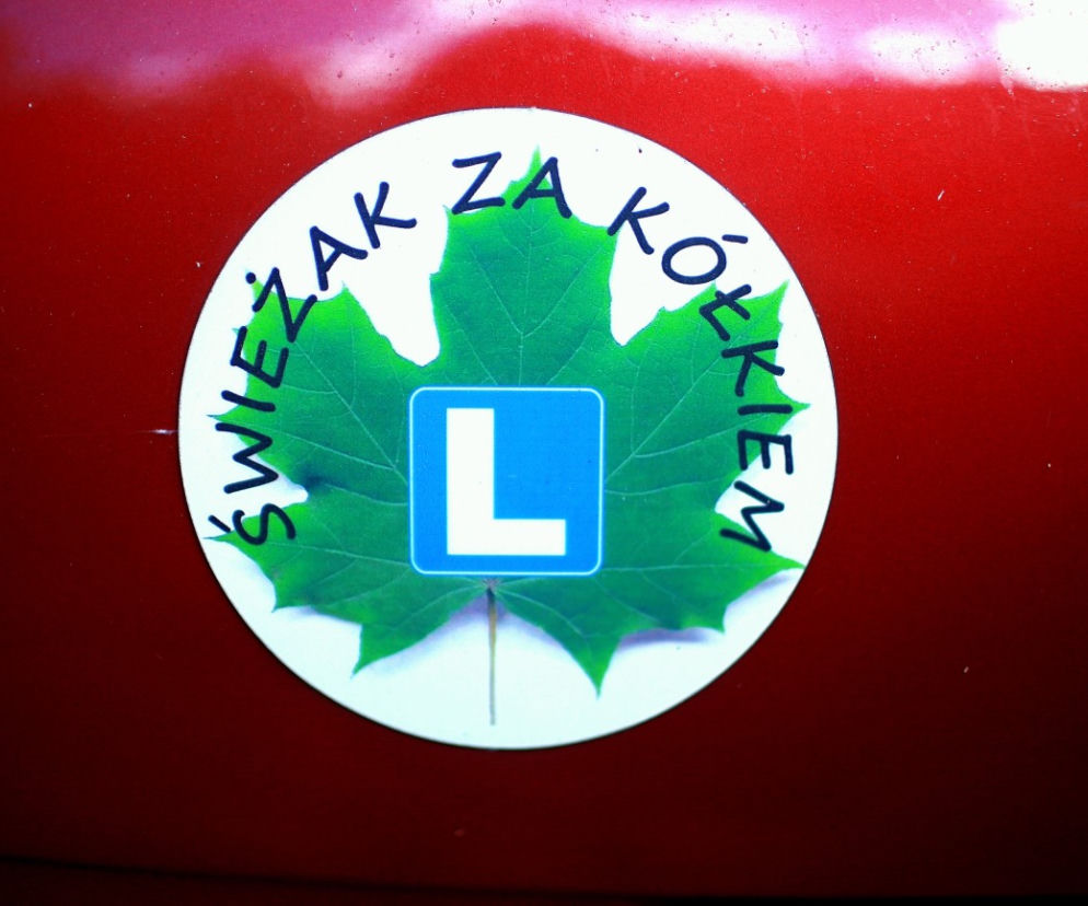 zielony liść, zielony listek, początkujący kierowca