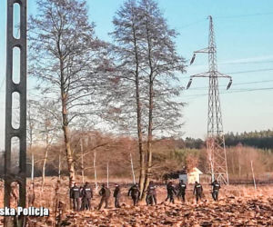 Spalone ciało