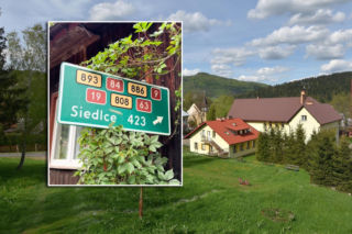 Ten drogowskaz od lat miesza ludziom w głowach