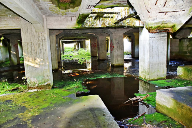 Tajemnicza podziemna hala w woj. warmińsko-mazurskim. Nikt nie wie, co tam się znajdowało