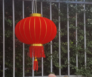 Chinatown podczas 11. Bella Skyway Festival w Toruniu?! Czemu nie!