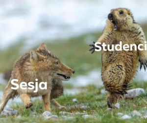17 listopada. Dzień Studenta. Zobacz najśmieszniejsze MEMY!