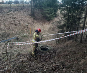Chłopiec wpadł do studzienki w Wodzisławiu Śląskim