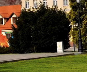 Młody mężczyzna płonął jak pochodnia na środku rynku. Horror w Strzelnie!