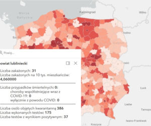 Koronawirus w województwie śląskim. Tak wygląda sytuacja w poszczególnych powiatach [RAPORT, 19 MARCA]