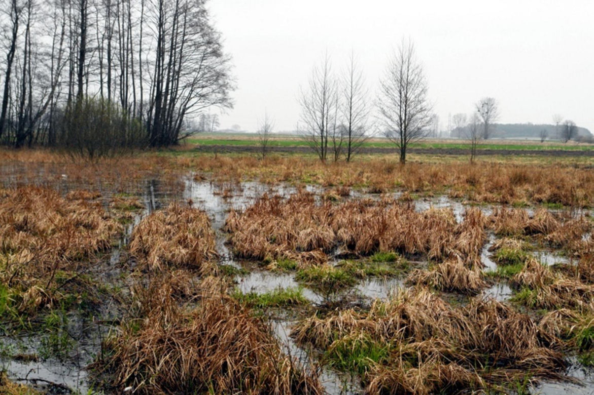 Park Krajobrazowy Wzniesień Łódzkich
