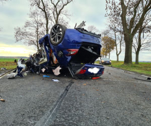 Sportowy Peugeot 308 GTi roztrzaskany na drzewie