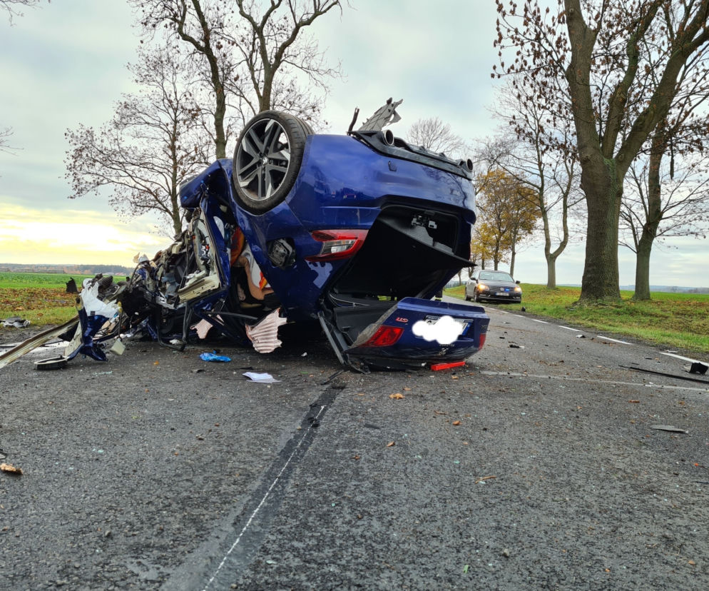 Sportowy Peugeot 308 GTi roztrzaskany na drzewie