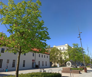 Wiosna w Lublinie