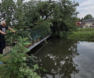 Krajobraz jak po apokalipsie. Wichura zniszczyła gminę Mysłakowice w kilkanaście minut