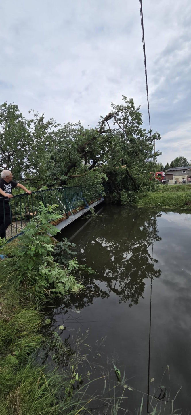 Krajobraz jak po apokalipsie. Wichura zniszczyła gminę Mysłakowice w kilkanaście minut