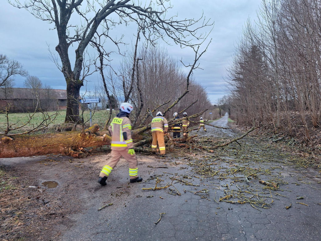 Interwencje strażaków w powiecie iławskim podczas Wielkanocy