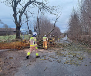 Interwencje strażaków w powiecie iławskim podczas Wielkanocy