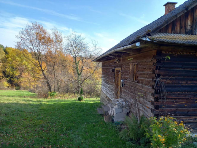 Remont drewnianej chaty w Tropiu (woj. małopolskie)