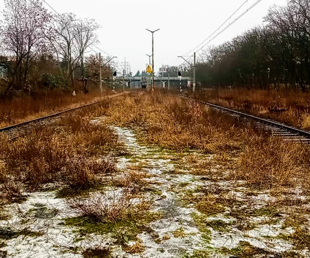 Budowa Szczecińskiej Kolei Metropolitalnej