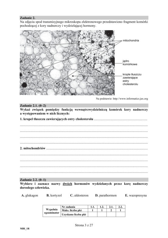 Matura 2018 z biologii [ARKUSZE CKE, ODPOWIEDZI]