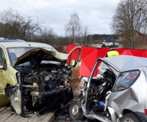 Śmiertelny wypadek w Niżankowicach: Zginął MŁODY KIEROWCA. KOSZMAR!