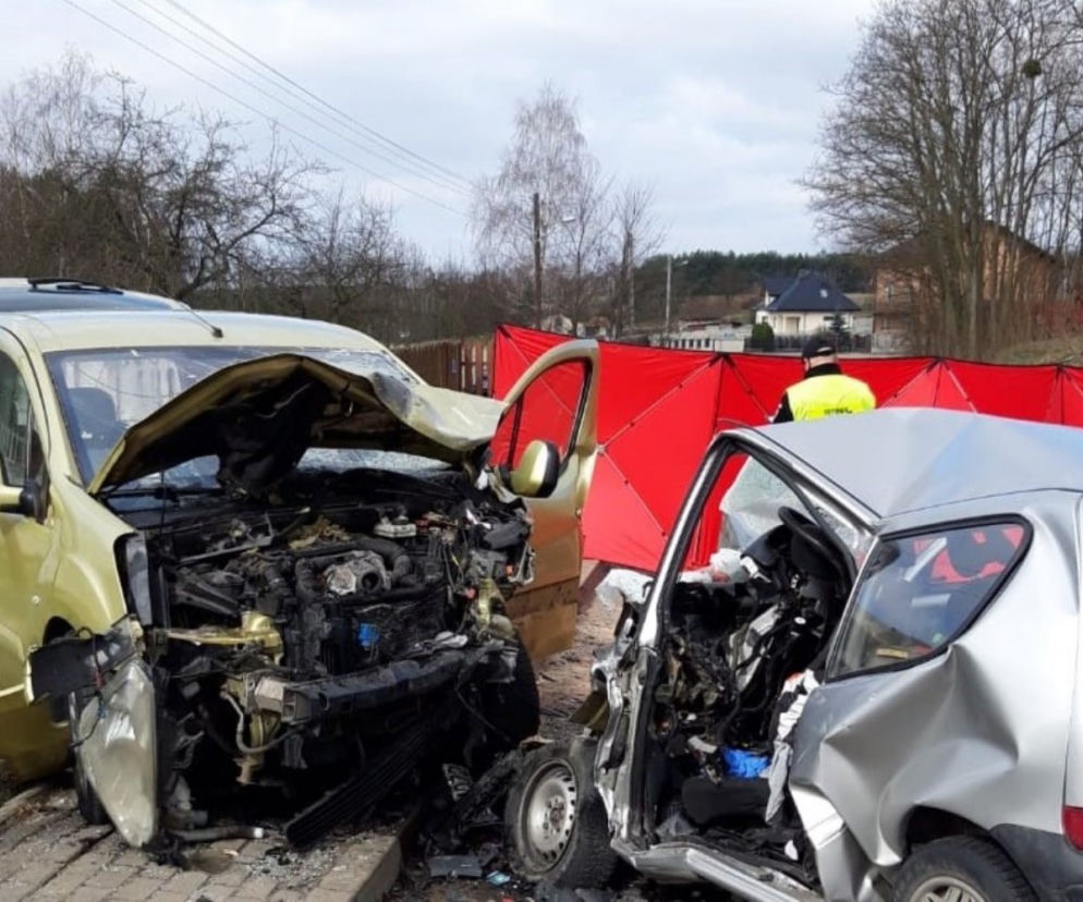 Śmiertelny wypadek w Niżankowicach: Zginął MŁODY KIEROWCA. KOSZMAR!