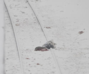 Tragedia na torach