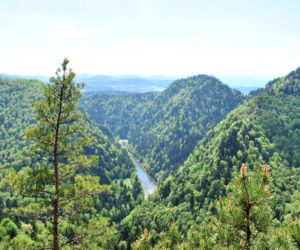 To najlepsze miejsce na majowy weekend w woj. małopolskim według AI. Wygląda jak z pocztówki!