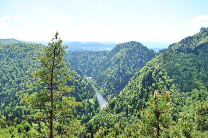 To najlepsze miejsce na majowy weekend w woj. małopolskim według AI. Wygląda jak z pocztówki!