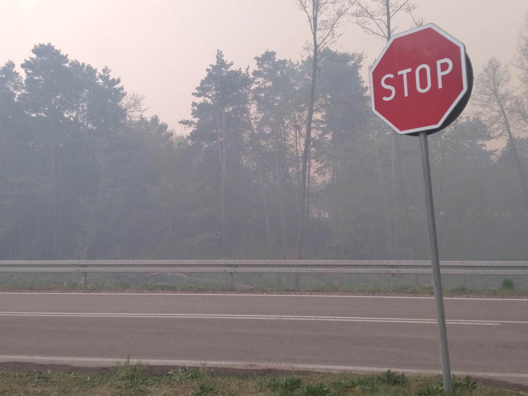 Pożar w Puszczy Białowieskiej