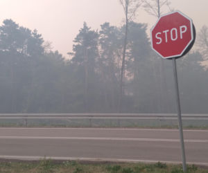 Pożar w Puszczy Białowieskiej