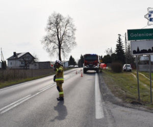 Potrącenie 46-latka na drodze krajowej