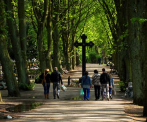 Zabytkowy krzyż na Cmentarzu Centralnym w Szczecinie