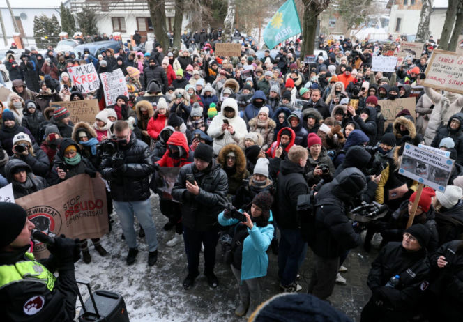 „Maszynka do mielenia mięsa i pałki z krwią”. Kulisy zamknięcia schroniska „Happy Dog”. Co dalej?
