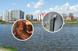 Wyłowili rybę-gigant z jeziora w Warszawie. Internauci oburzeni