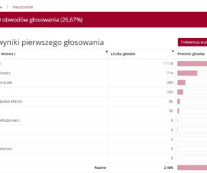 Wybory prezydenckie 2020: Jak głosowali mieszkańcy Podkarpacia