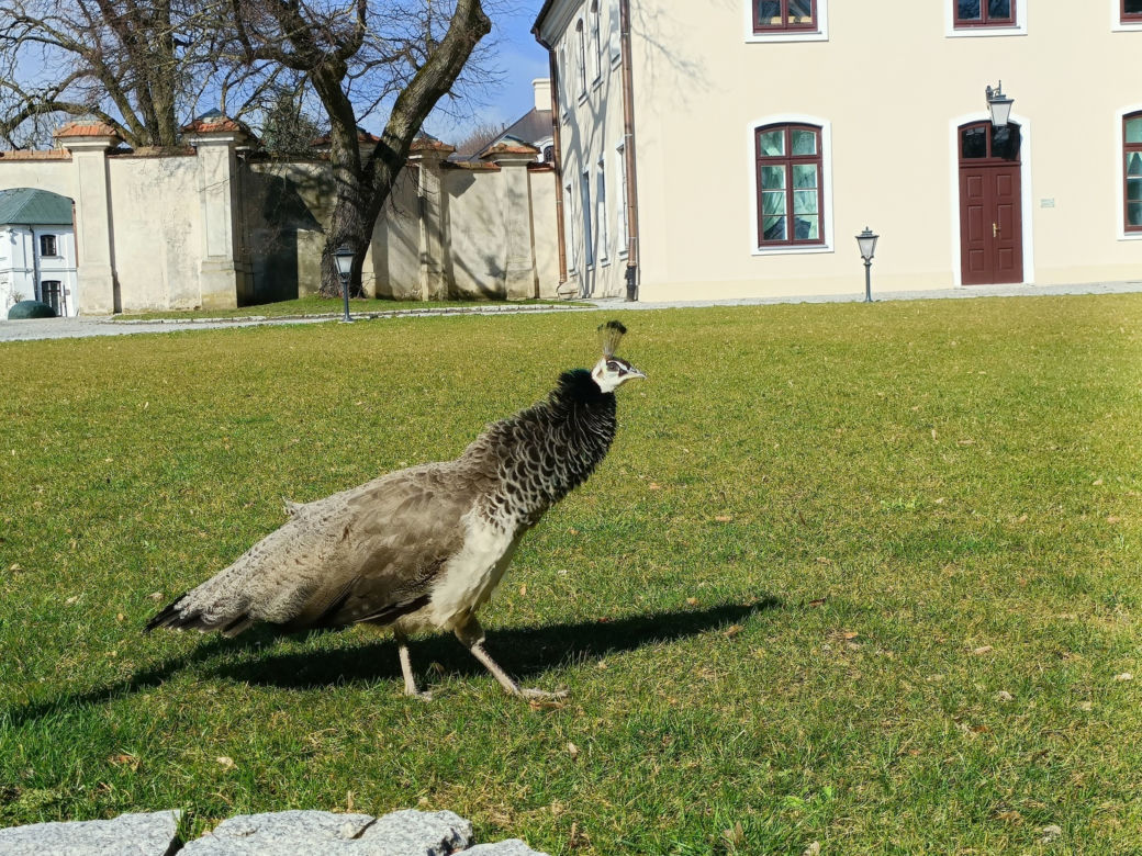 Muzeum Zamoyskich w Kozłówce wczesną wiosną