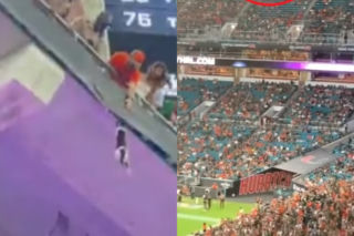Co za historia! Kibice uratowali kota, który spadł z trybuny. Wiwatował cały stadion! [WIDEO]