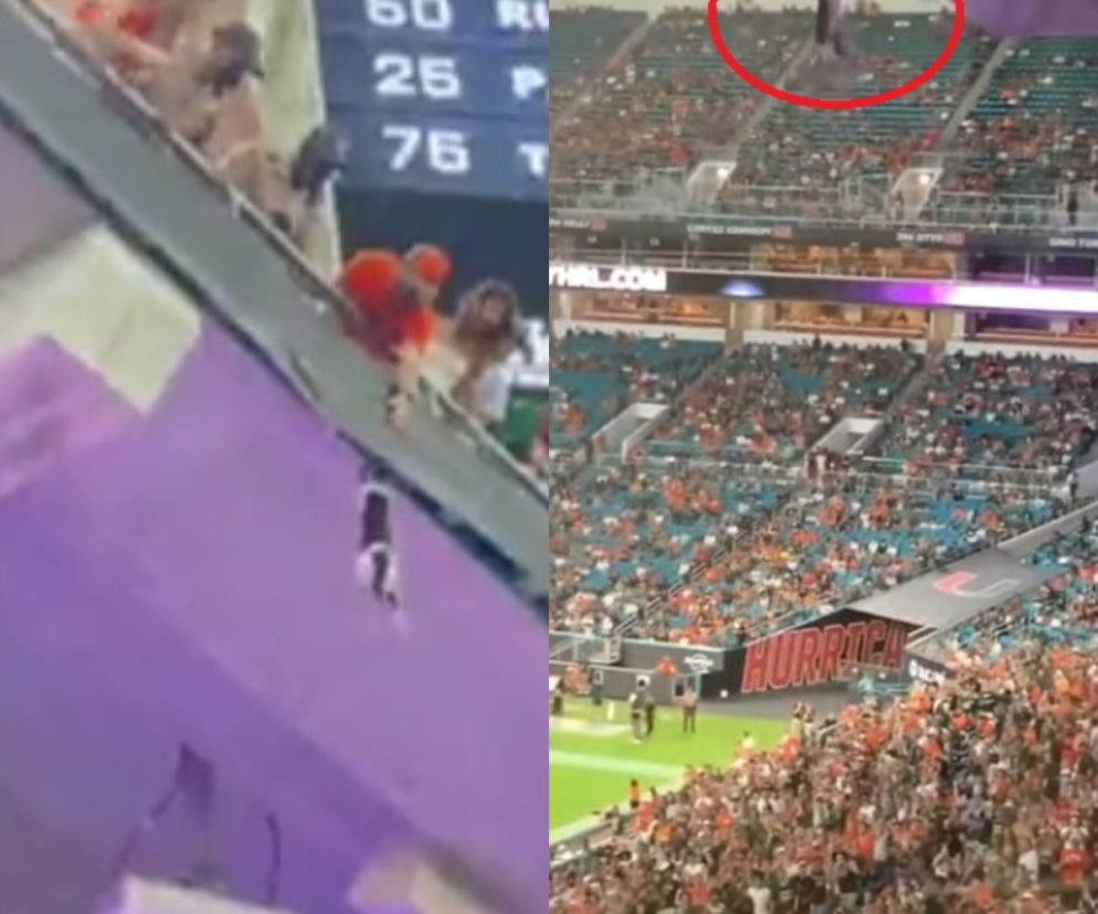 Co za historia! Kibice uratowali kota, który spadł z trybuny. Wiwatował cały stadion! [WIDEO]