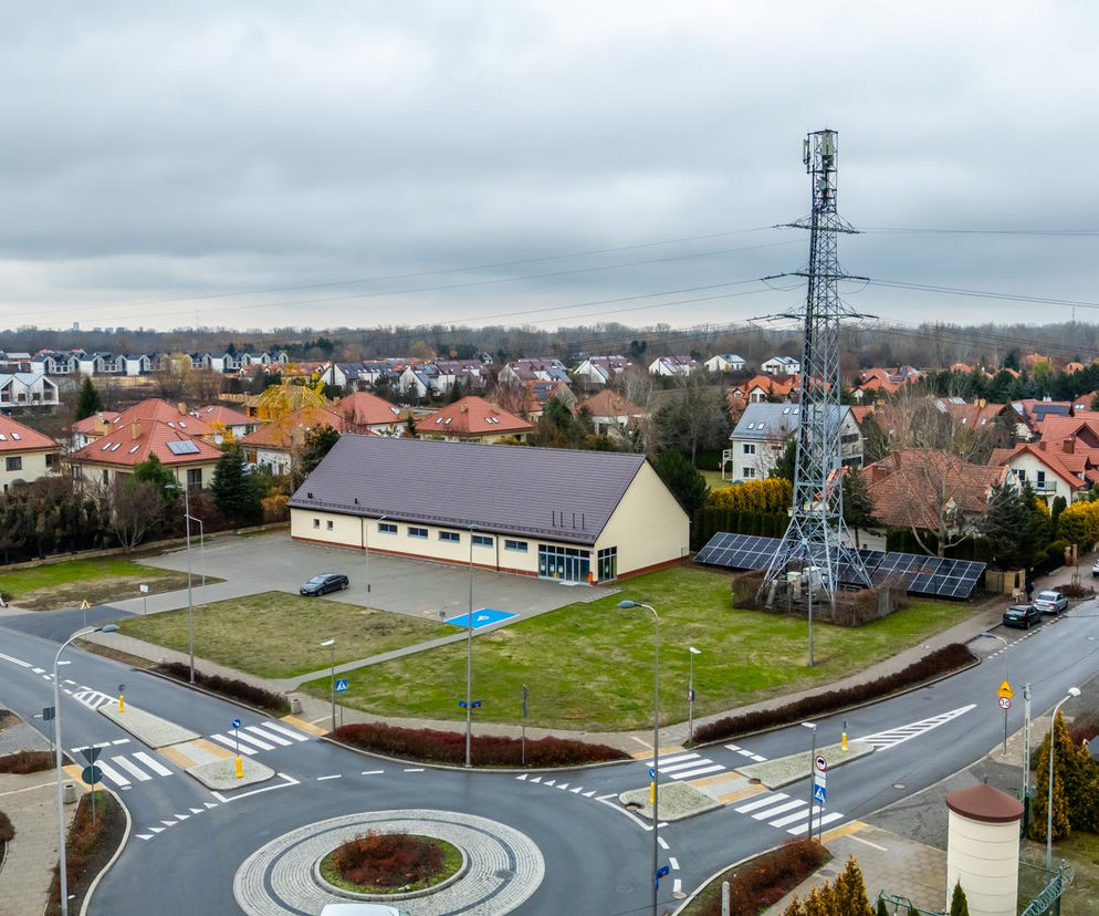 To o nie było tyle krzyku. Słynne Dino w Wilanowie już gotowe. Zobacz, jak wygląda