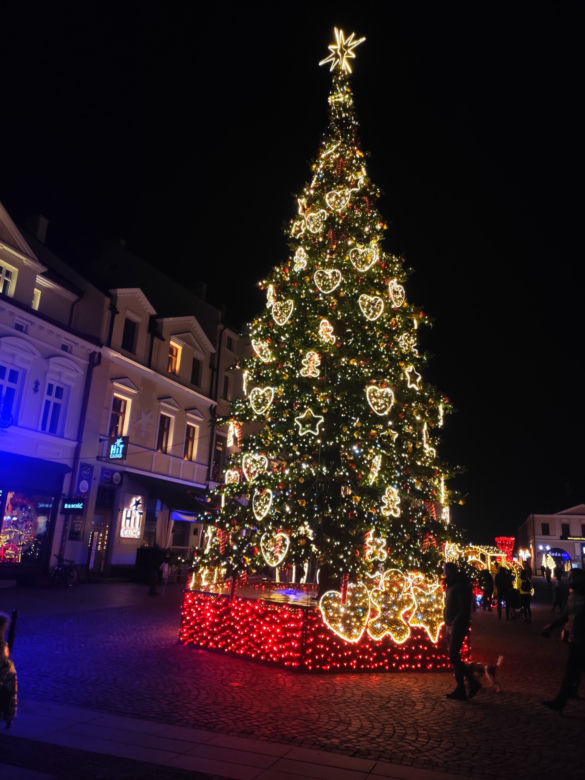 Rzeszów pięknie przybrany na Święta Bożego Narodzenia  [ZDJĘCIA]